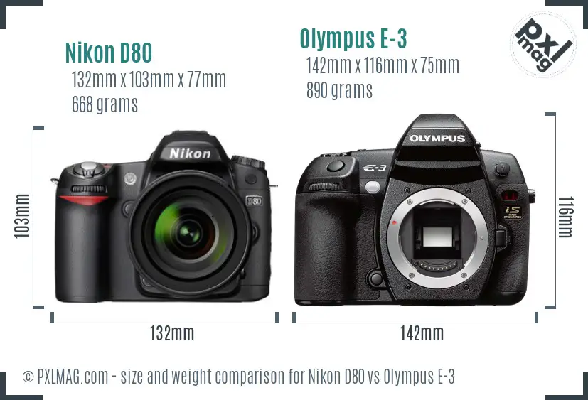 Nikon D80 vs Olympus E-3 size comparison Nikon D80 vs Olympus E-3 size comparison