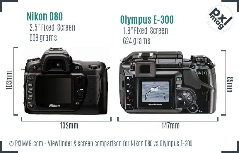 Nikon D80 vs Olympus E-300 Screen and Viewfinder comparison