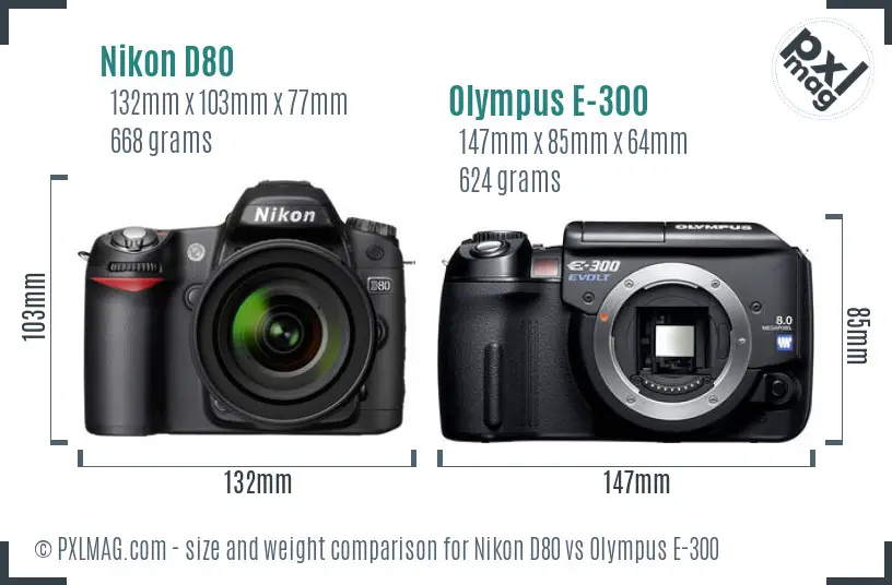 Nikon D80 vs Olympus E-300 size comparison