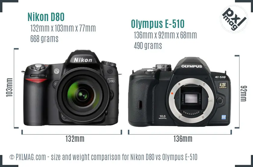 Nikon D80 vs Olympus E-510 size comparison