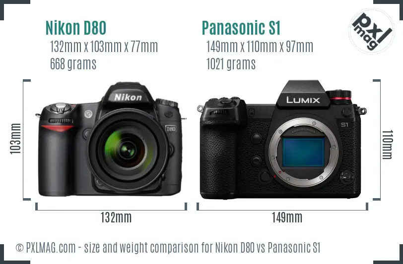 Nikon D80 vs Panasonic S1 size comparison