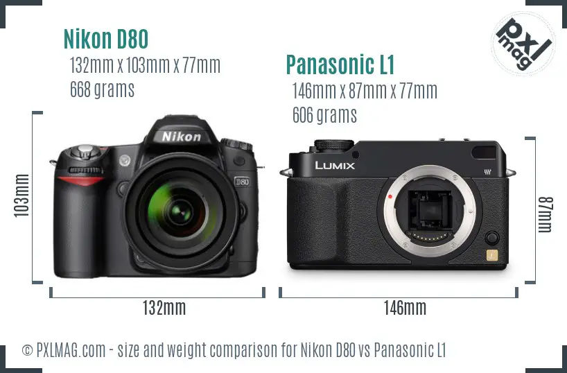 Nikon D80 vs Panasonic L1 size comparison