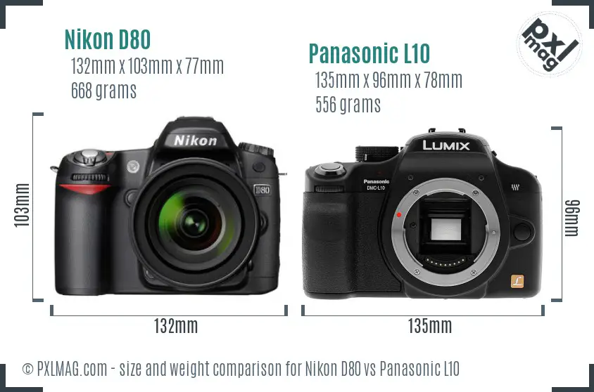 Nikon D80 vs Panasonic L10 size comparison