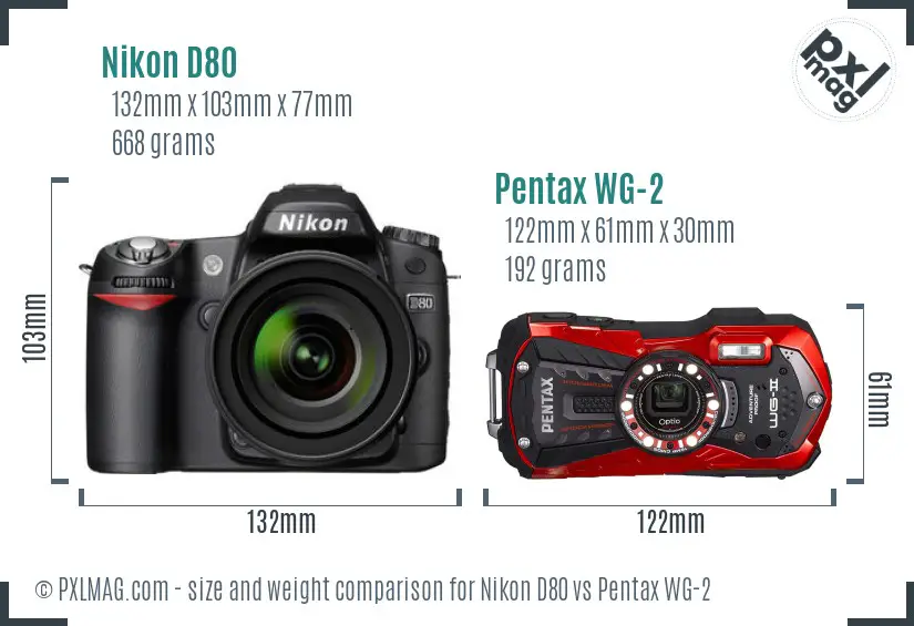 Nikon D80 vs Pentax WG-2 size comparison