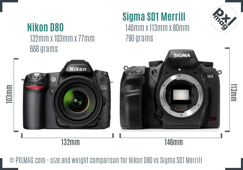 Nikon D80 vs Sigma SD1 Merrill size comparison