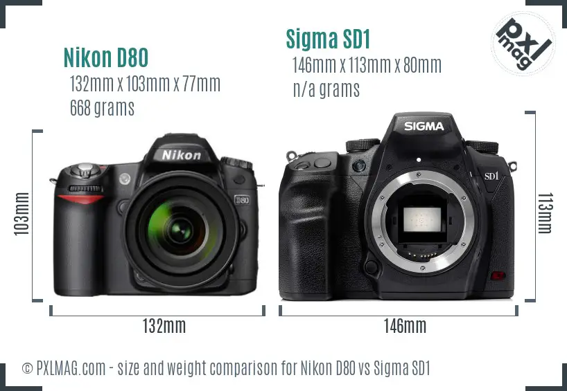 Nikon D80 vs Sigma SD1 size comparison