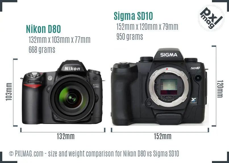 Nikon D80 vs Sigma SD10 size comparison