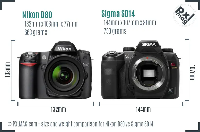 Nikon D80 vs Sigma SD14 size comparison