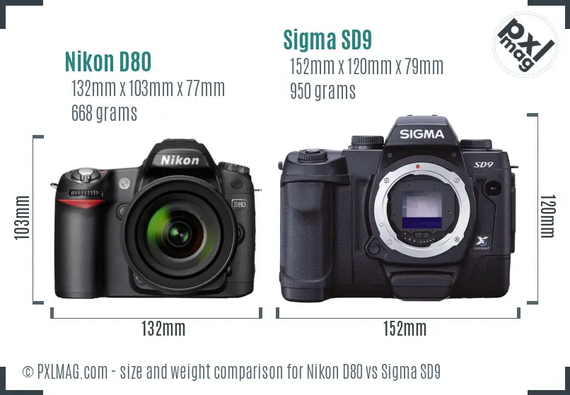 Nikon D80 vs Sigma SD9 size comparison