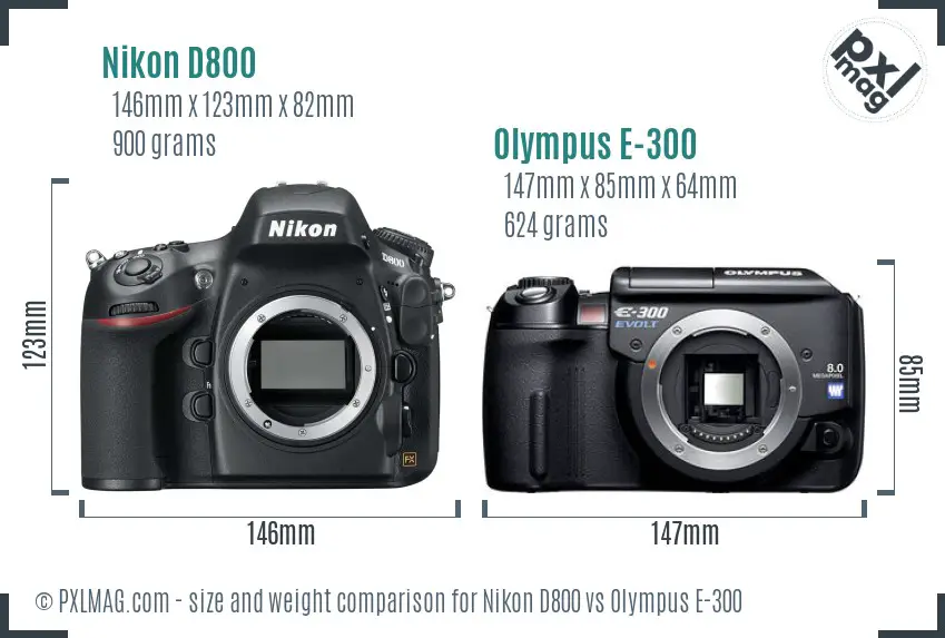 Nikon D800 vs Olympus E-300 size comparison