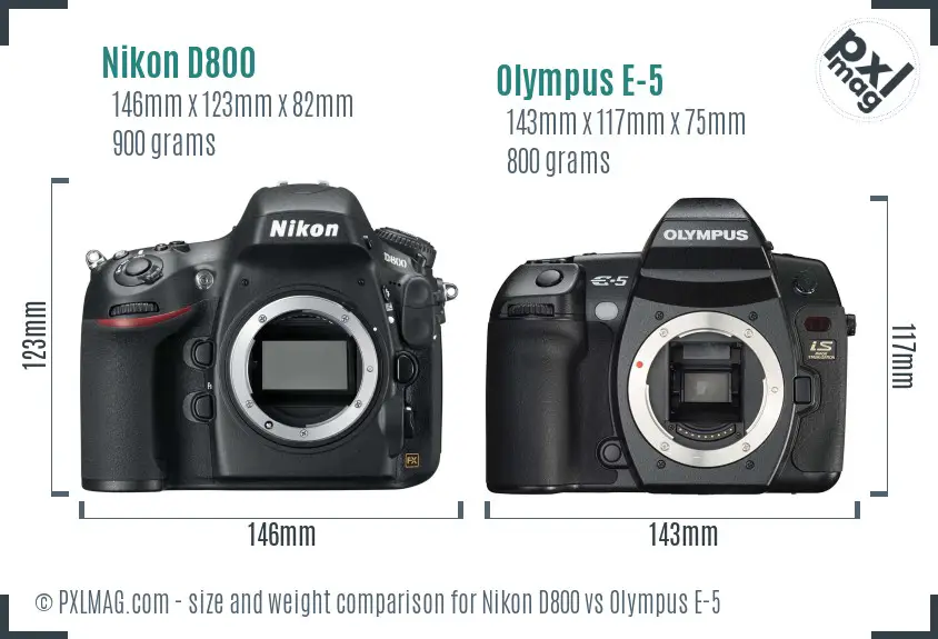 Nikon D800 vs Olympus E-5 size comparison