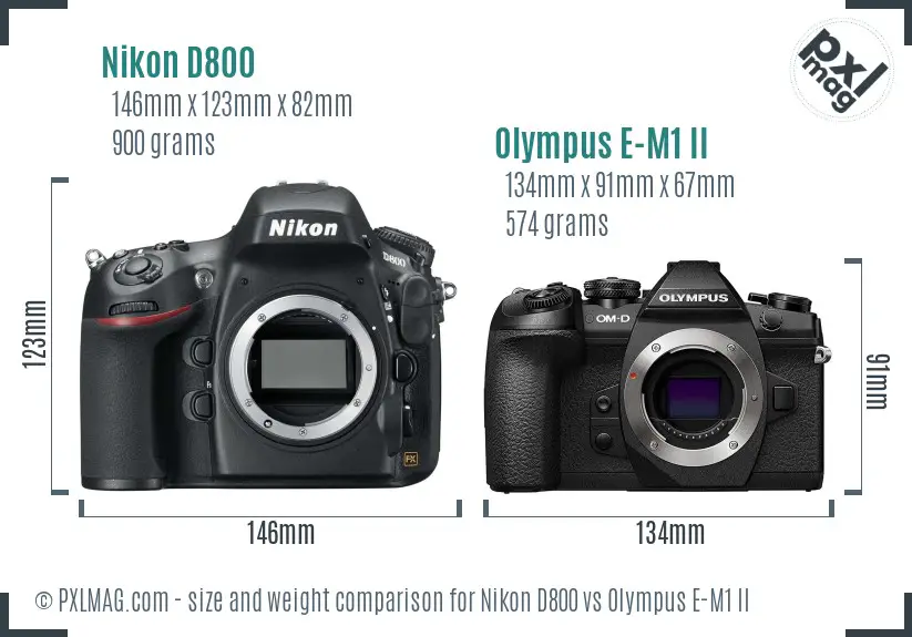 Nikon D800 vs Olympus E-M1 II size comparison