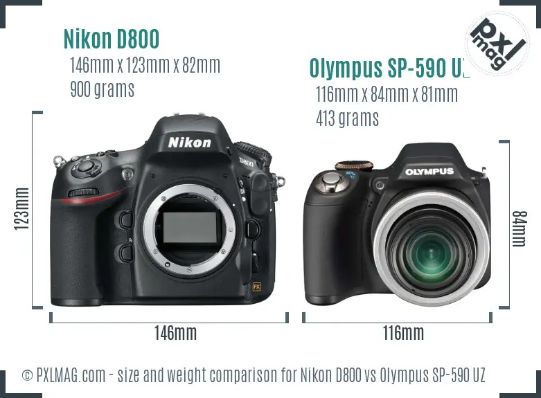 Nikon D800 vs Olympus SP-590 UZ size comparison