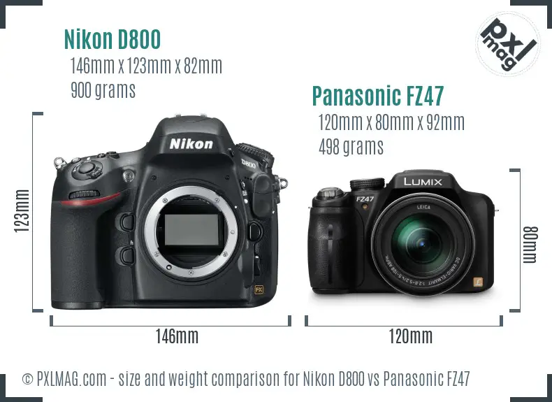 Nikon D800 vs Panasonic FZ47 size comparison
