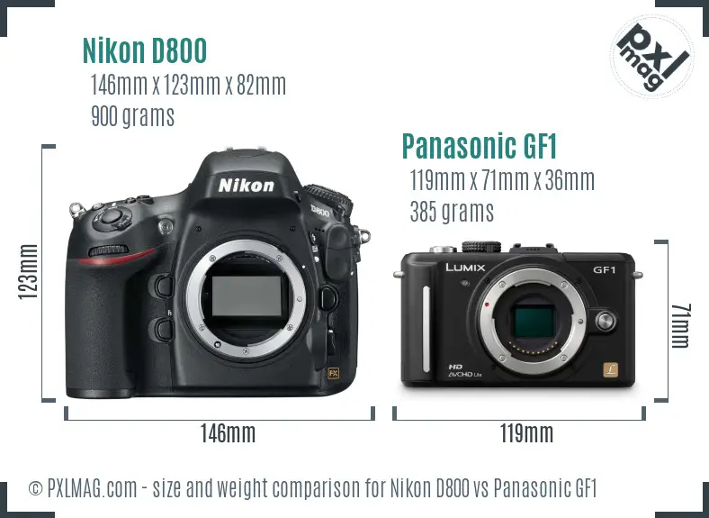 Nikon D800 vs Panasonic GF1 size comparison