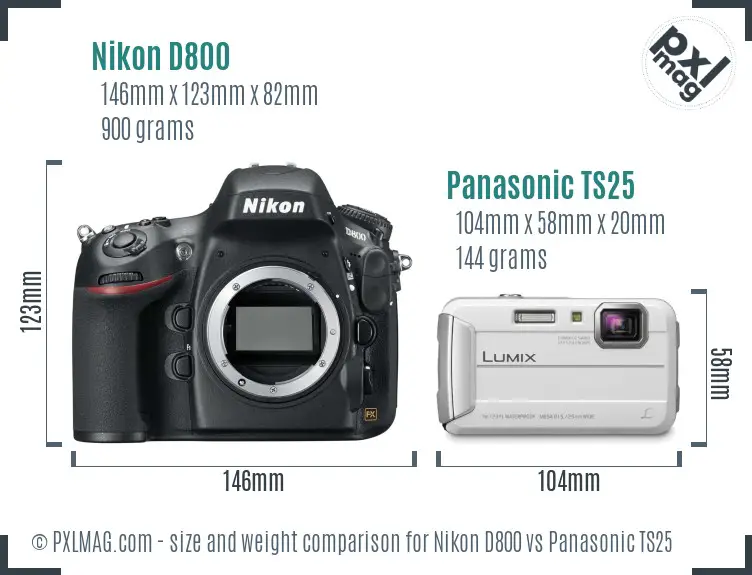 Nikon D800 vs Panasonic TS25 size comparison