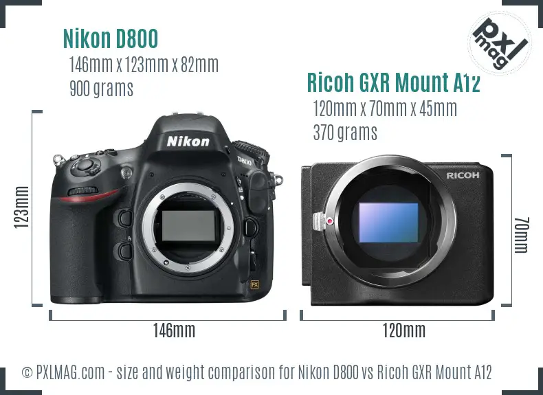Nikon D800 vs Ricoh GXR Mount A12 size comparison Nikon D800 vs Ricoh GXR Mount A12 size comparison