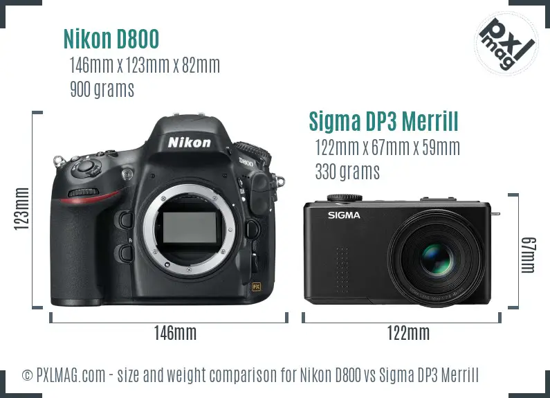 Nikon D800 vs Sigma DP3 Merrill size comparison