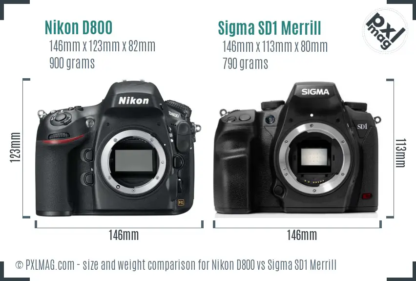 Nikon D800 vs Sigma SD1 Merrill size comparison
