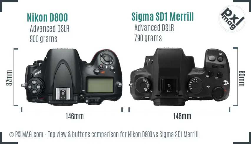 Nikon D800 vs Sigma SD1 Merrill top view buttons comparison