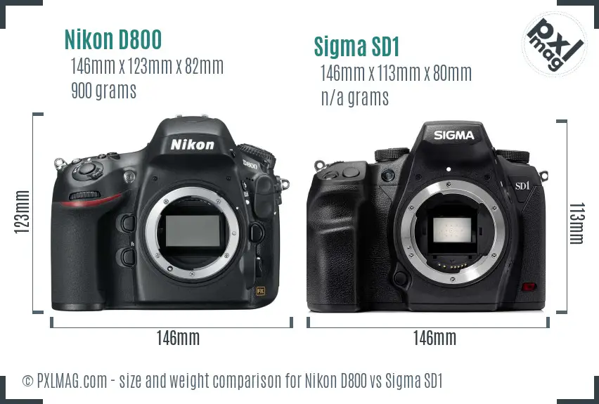 Nikon D800 vs Sigma SD1 size comparison