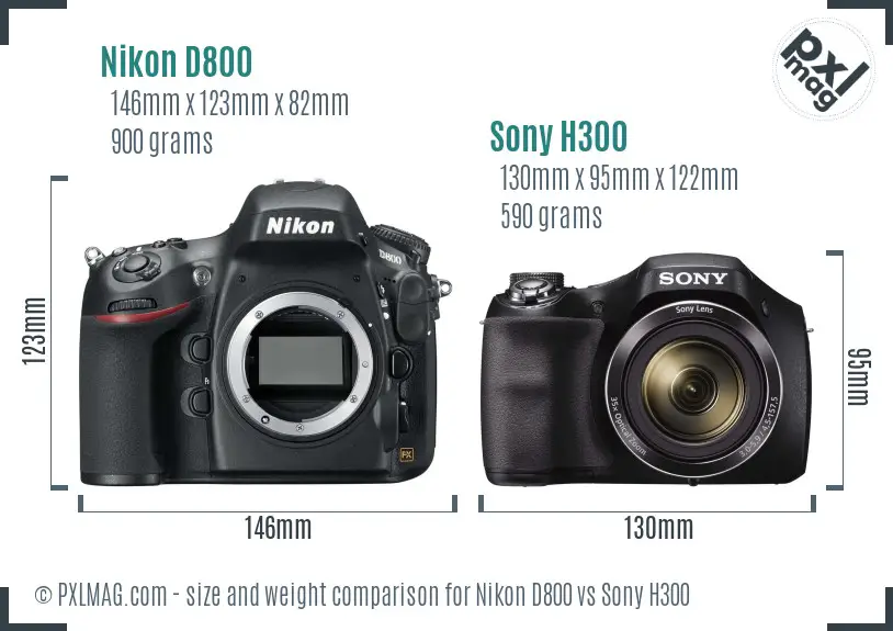 Nikon D800 vs Sony H300 size comparison