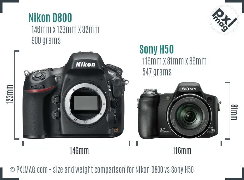 Nikon D800 vs Sony H50 size comparison