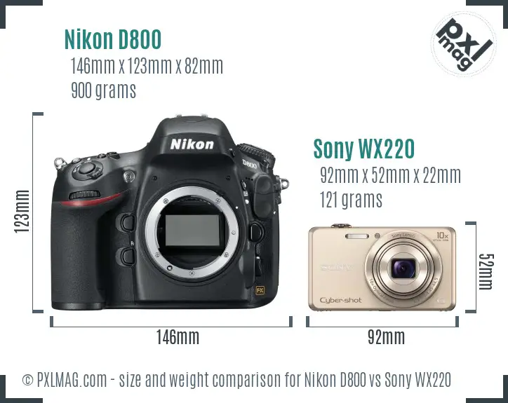 Nikon D800 vs Sony WX220 size comparison