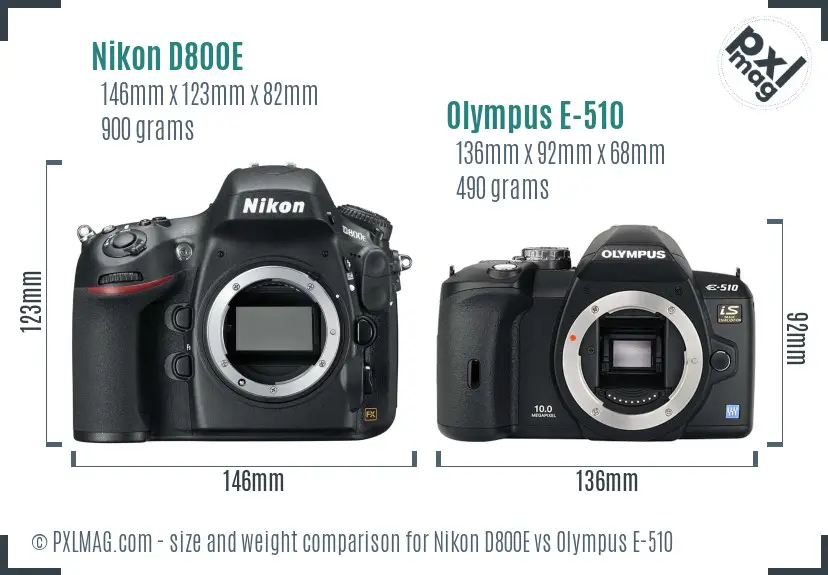 Nikon D800E vs Olympus E-510 size comparison