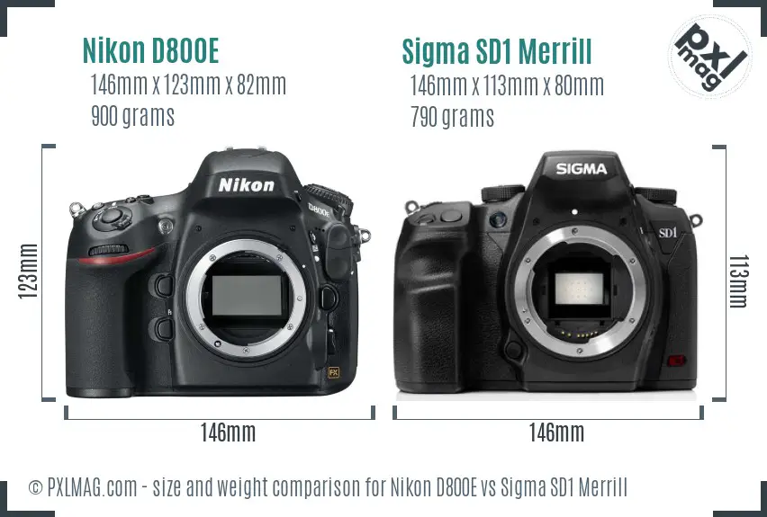 Nikon D800E vs Sigma SD1 Merrill size comparison