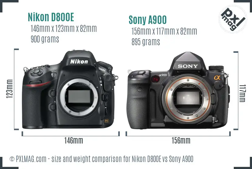 Nikon D800E vs Sony A900 size comparison