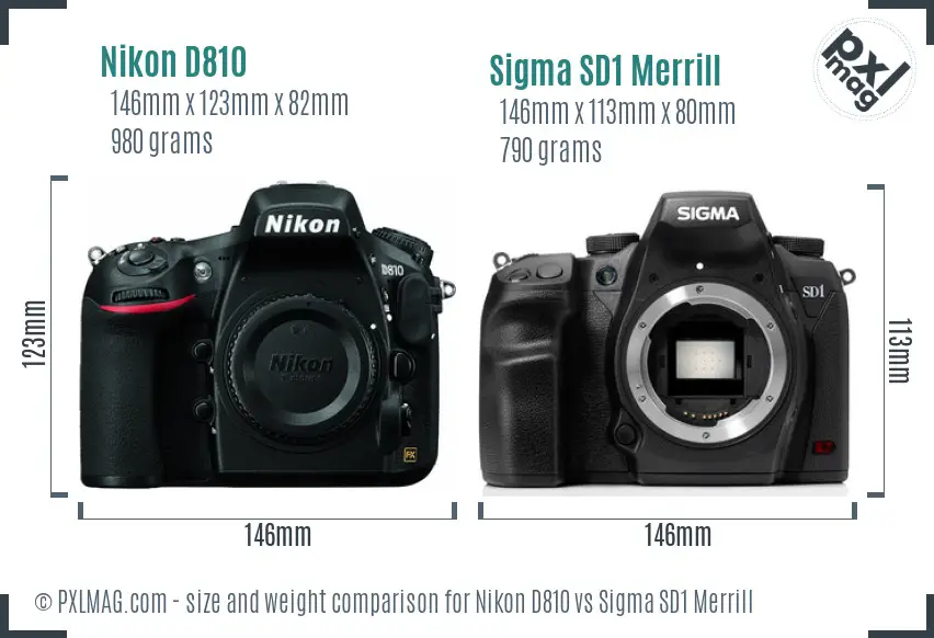 Nikon D810 vs Sigma SD1 Merrill size comparison