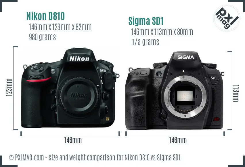 Nikon D810 vs Sigma SD1 size comparison