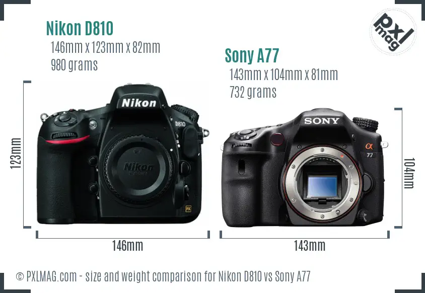 Nikon D810 vs Sony A77 size comparison