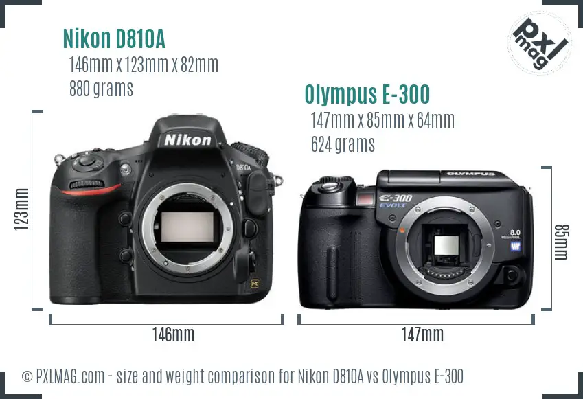 Nikon D810A vs Olympus E-300 size comparison