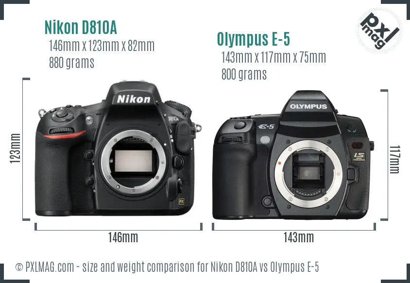 Nikon D810A vs Olympus E-5 size comparison