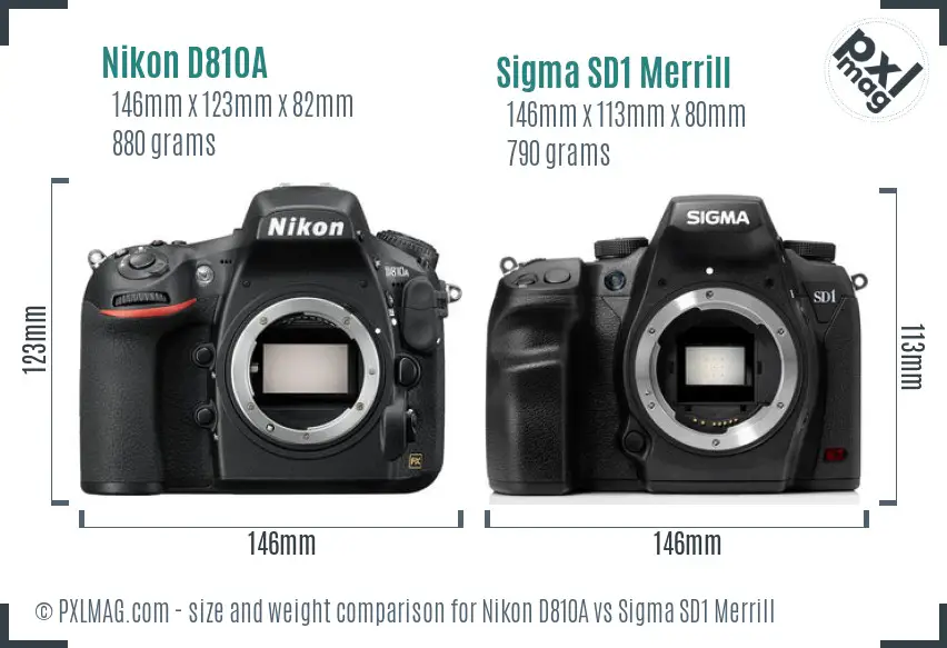 Nikon D810A vs Sigma SD1 Merrill size comparison