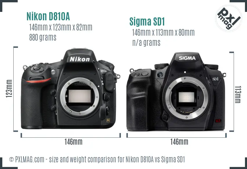 Nikon D810A vs Sigma SD1 size comparison Nikon D810A vs Sigma SD1 size comparison