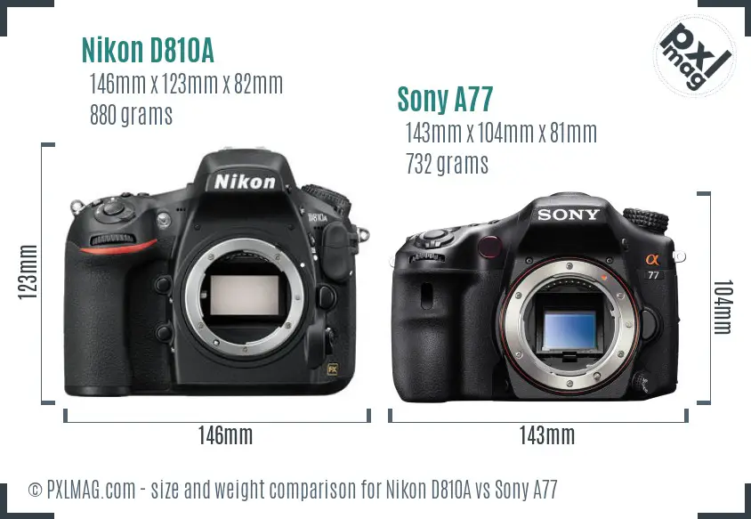 Nikon D810A vs Sony A77 size comparison