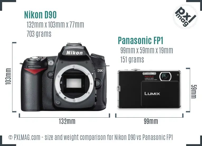 Nikon D90 vs Panasonic FP1 size comparison