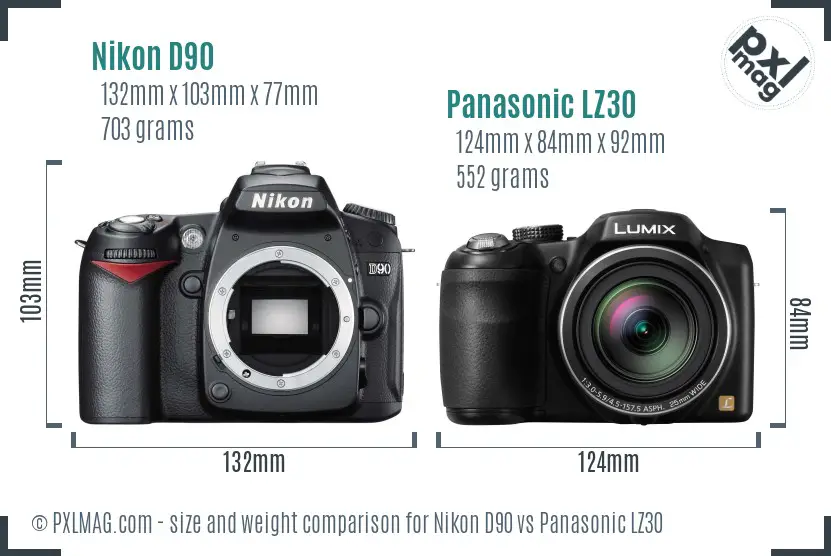 Nikon D90 vs Panasonic LZ30 size comparison