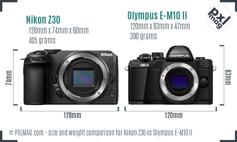 Nikon Z30 vs Olympus E-M10 II size comparison