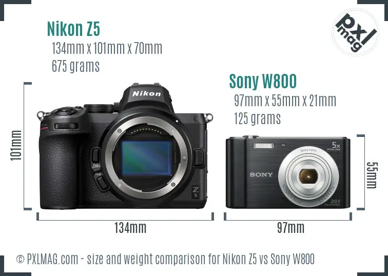 Nikon Z5 vs Sony W800 size comparison