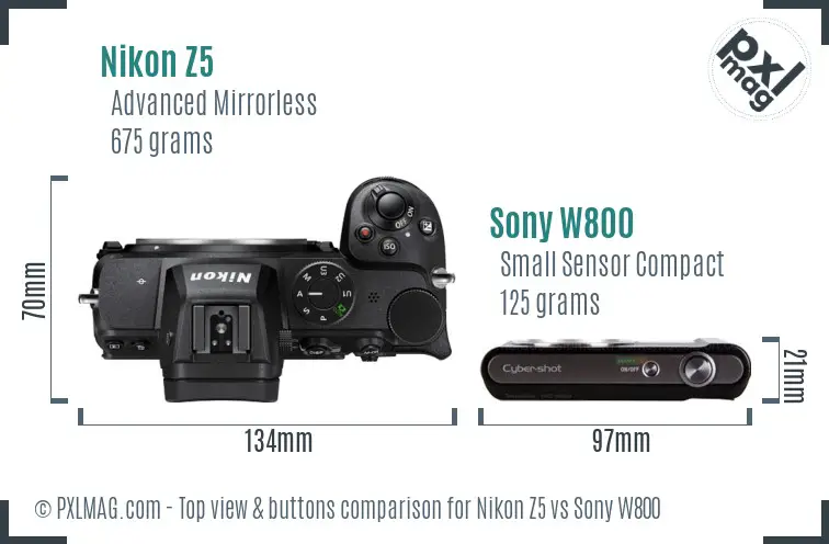 Nikon Z5 vs Sony W800 top view buttons comparison