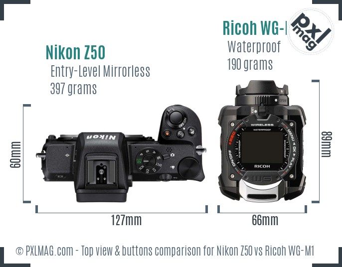 Nikon Z50 vs Ricoh WG-M1 top view buttons comparison