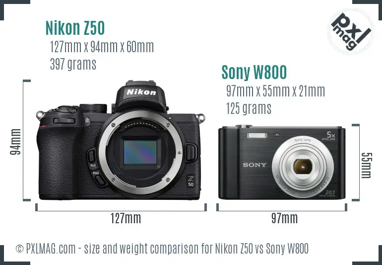 Nikon Z50 vs Sony W800 size comparison