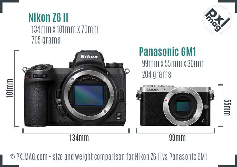 Nikon Z6 II vs Panasonic GM1 size comparison