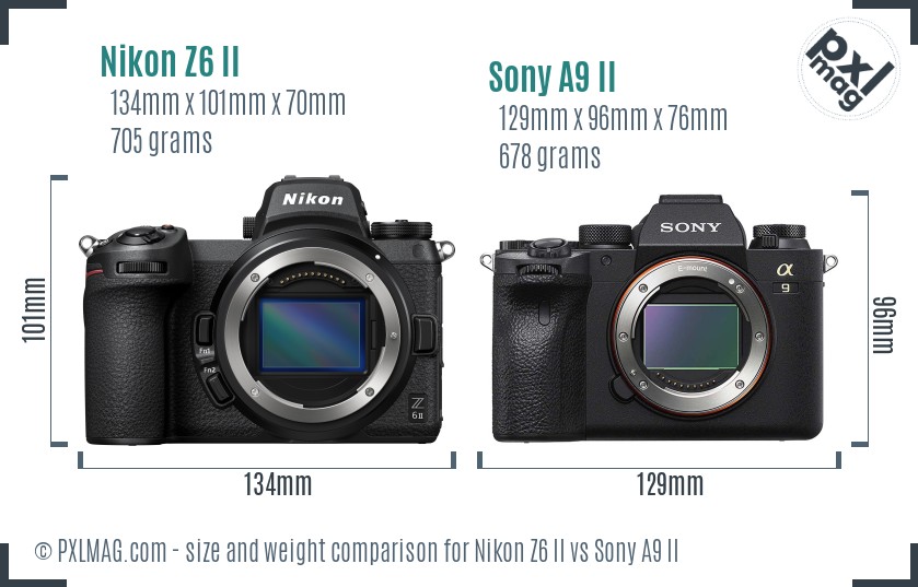 Nikon Z6 II vs Sony A9 II size comparison