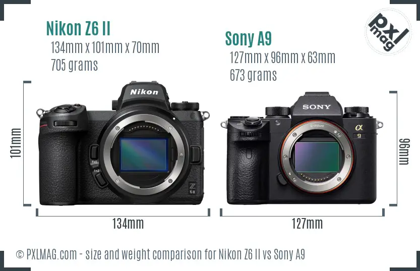Nikon Z6 II vs Sony A9 size comparison