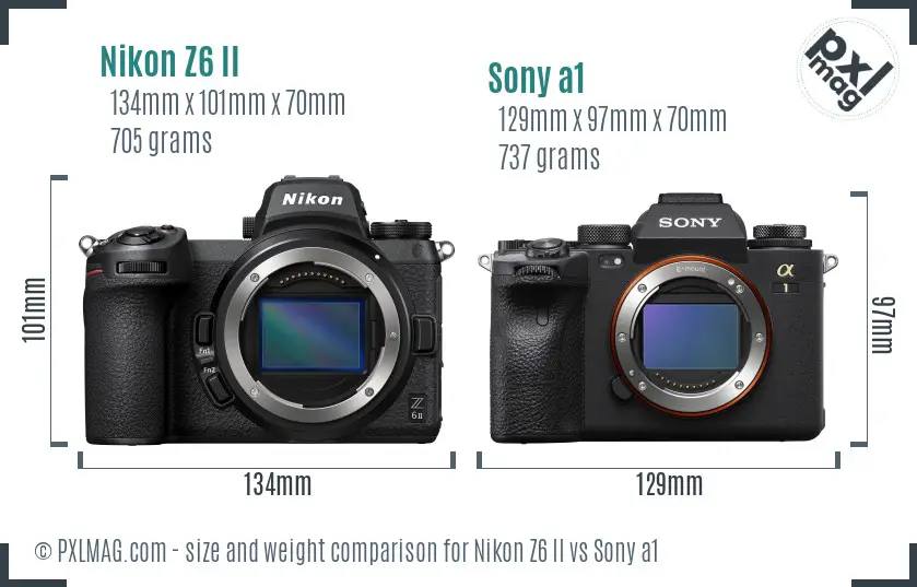 Nikon Z6 II vs Sony a1 size comparison
